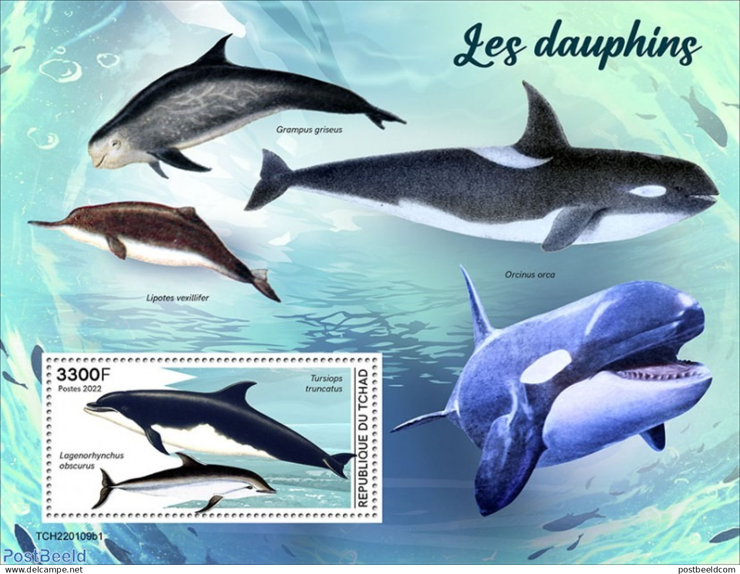 Chad 2022 Dolphins, Mint NH, Nature - Sea Mammals - Autres & Non Classés