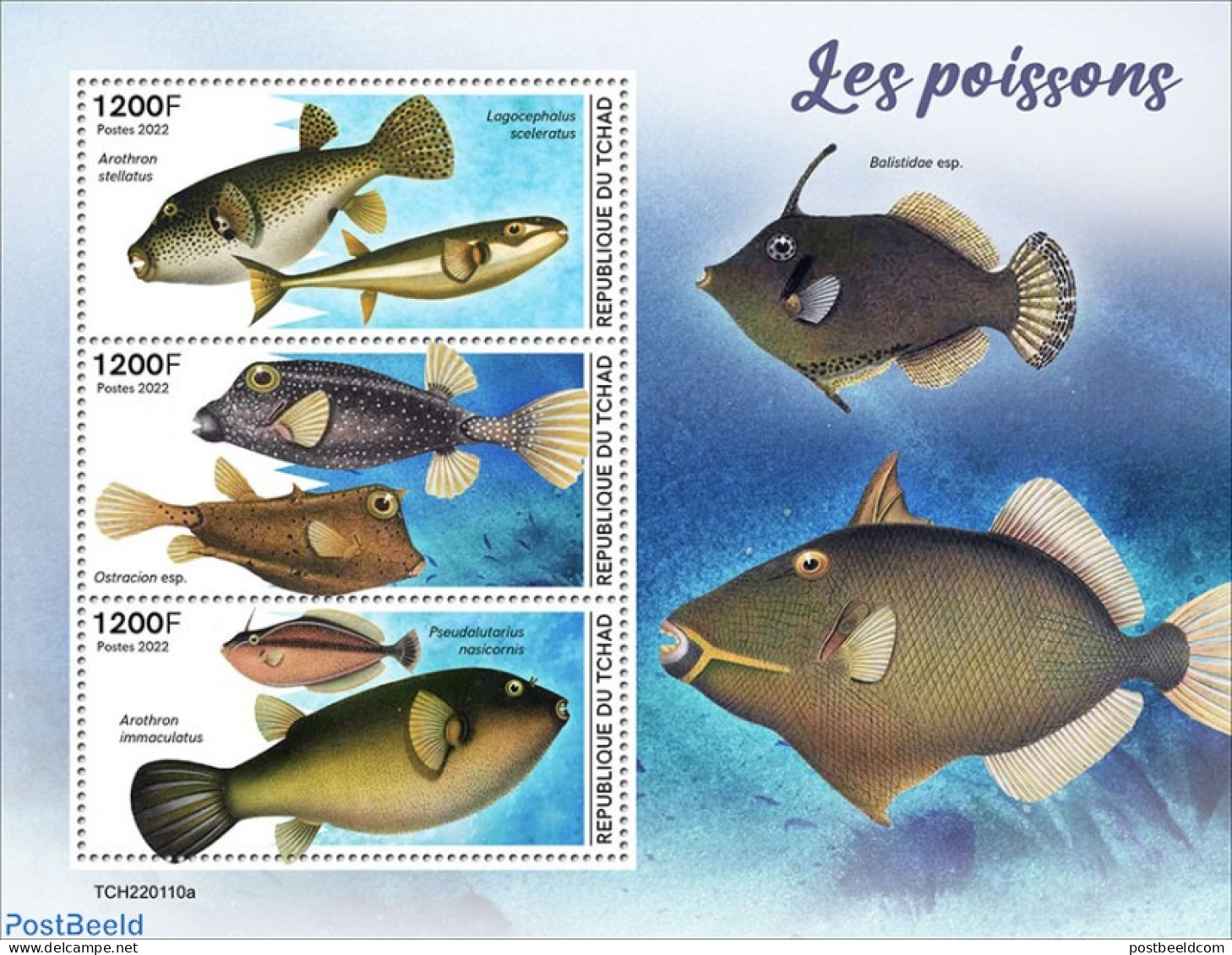Chad 2022 Fishes, Mint NH, Nature - Fish - Autres & Non Classés