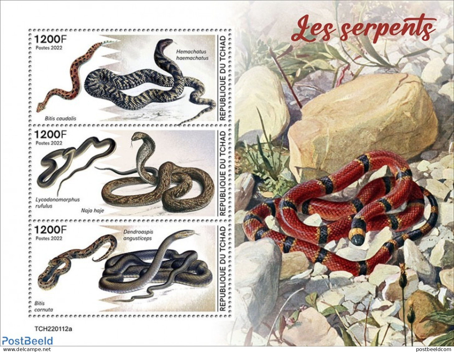 Chad 2022 Snakes, Mint NH, Nature - Snakes - Autres & Non Classés