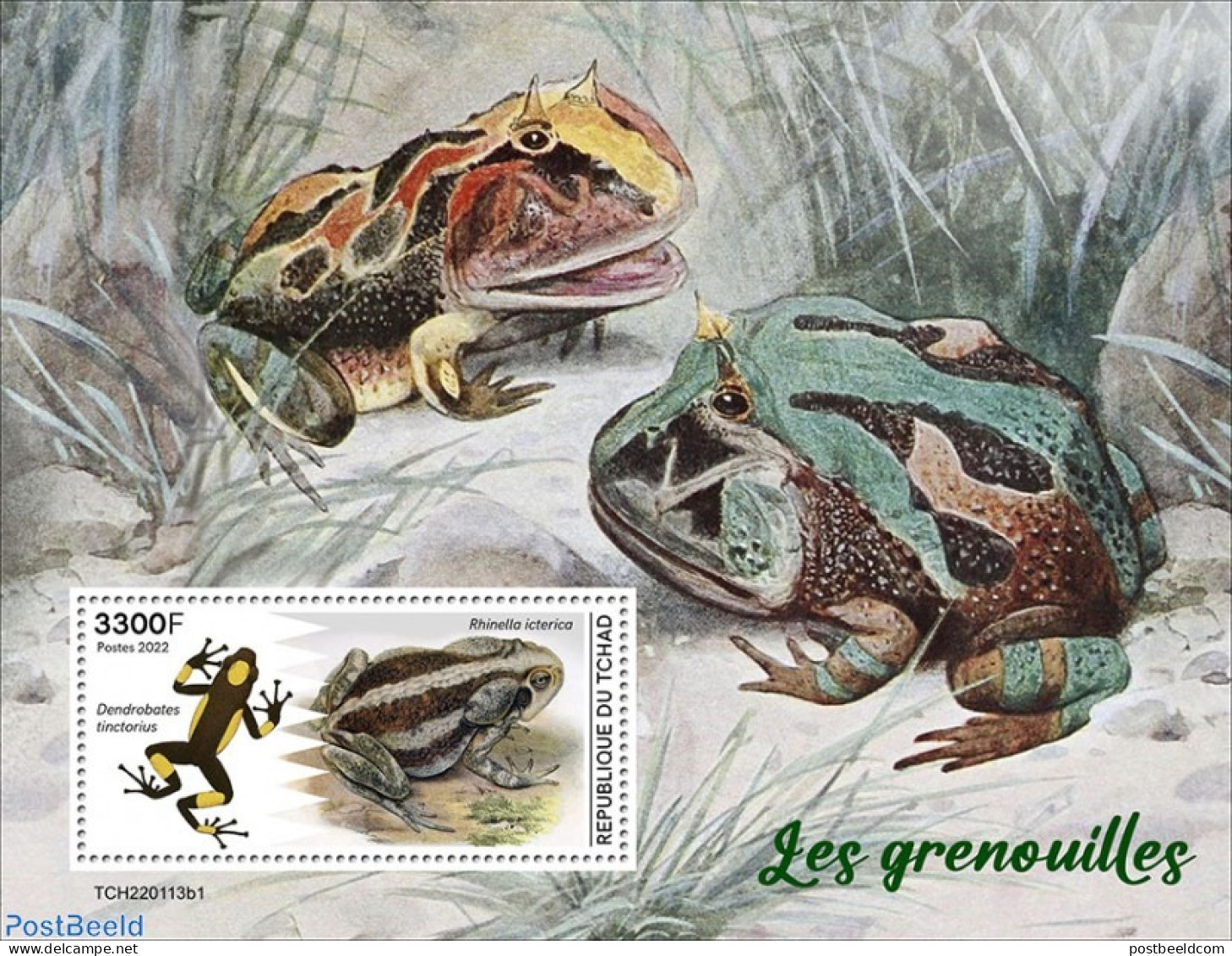 Chad 2022 Frogs, Mint NH, Nature - Frogs & Toads - Other & Unclassified