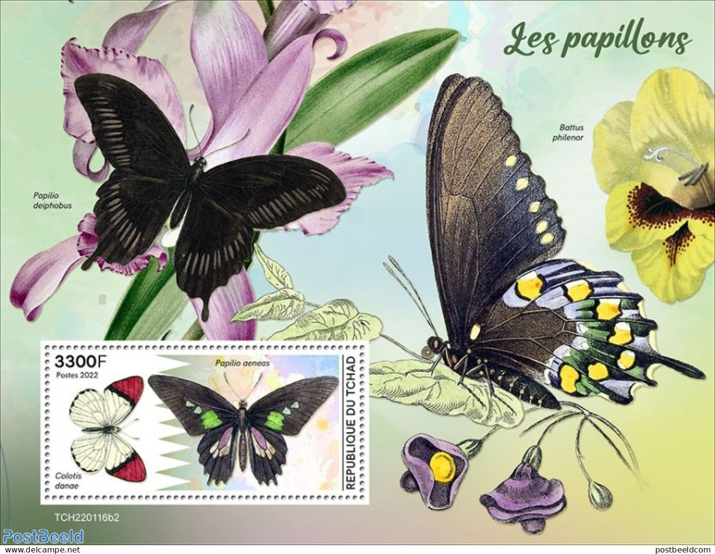 Chad 2022 Butterflies, Mint NH, Nature - Butterflies - Autres & Non Classés