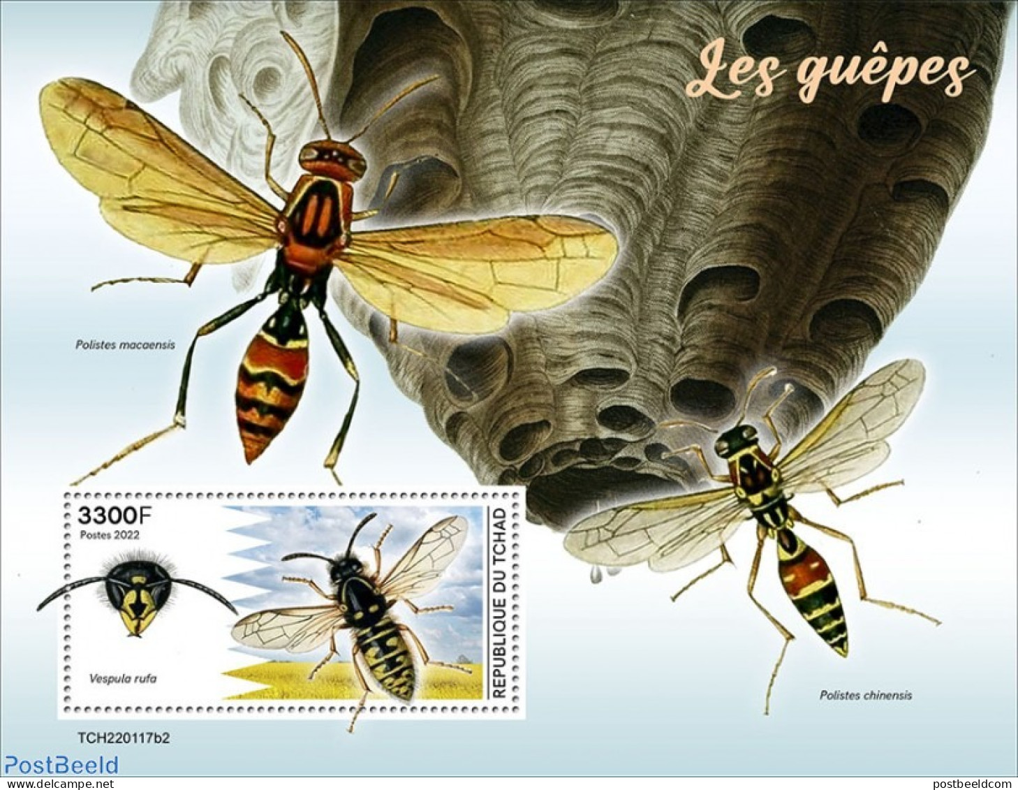 Chad 2022 Wasps, Mint NH, Nature - Insects - Autres & Non Classés