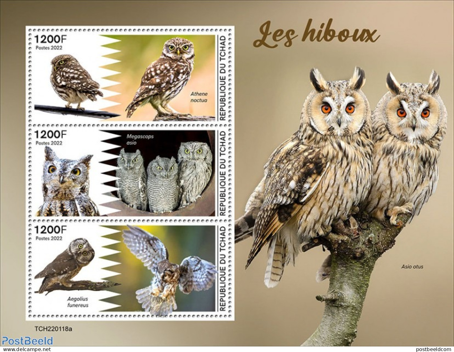 Chad 2022 Owls, Mint NH, Nature - Owls - Autres & Non Classés
