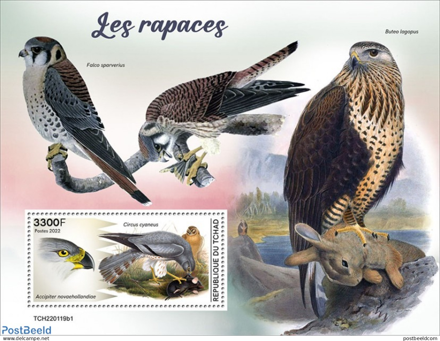 Chad 2022 Birds Of Prey, Mint NH, Nature - Birds Of Prey - Other & Unclassified