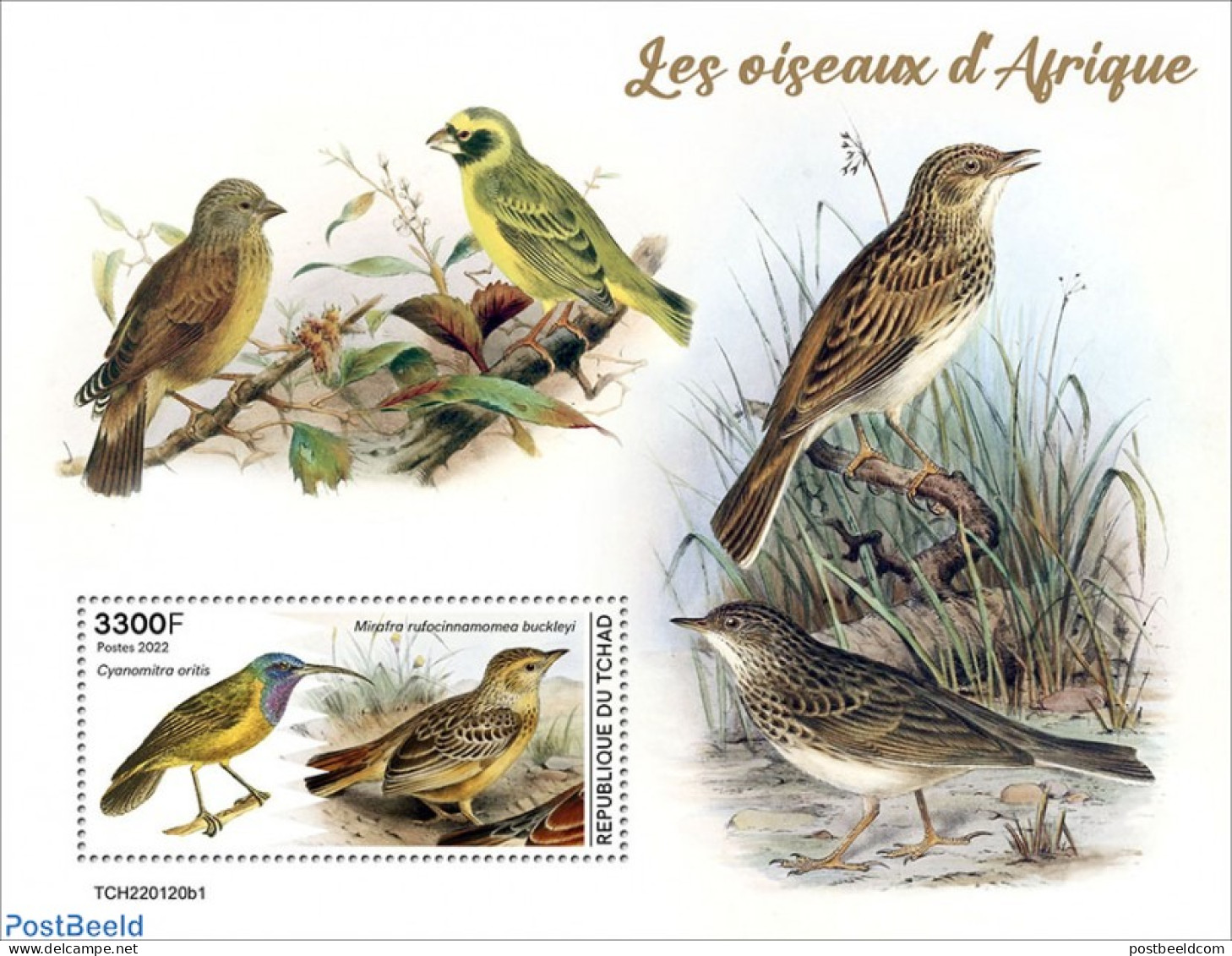 Chad 2022 Birds Of Africa, Mint NH, Nature - Birds - Autres & Non Classés