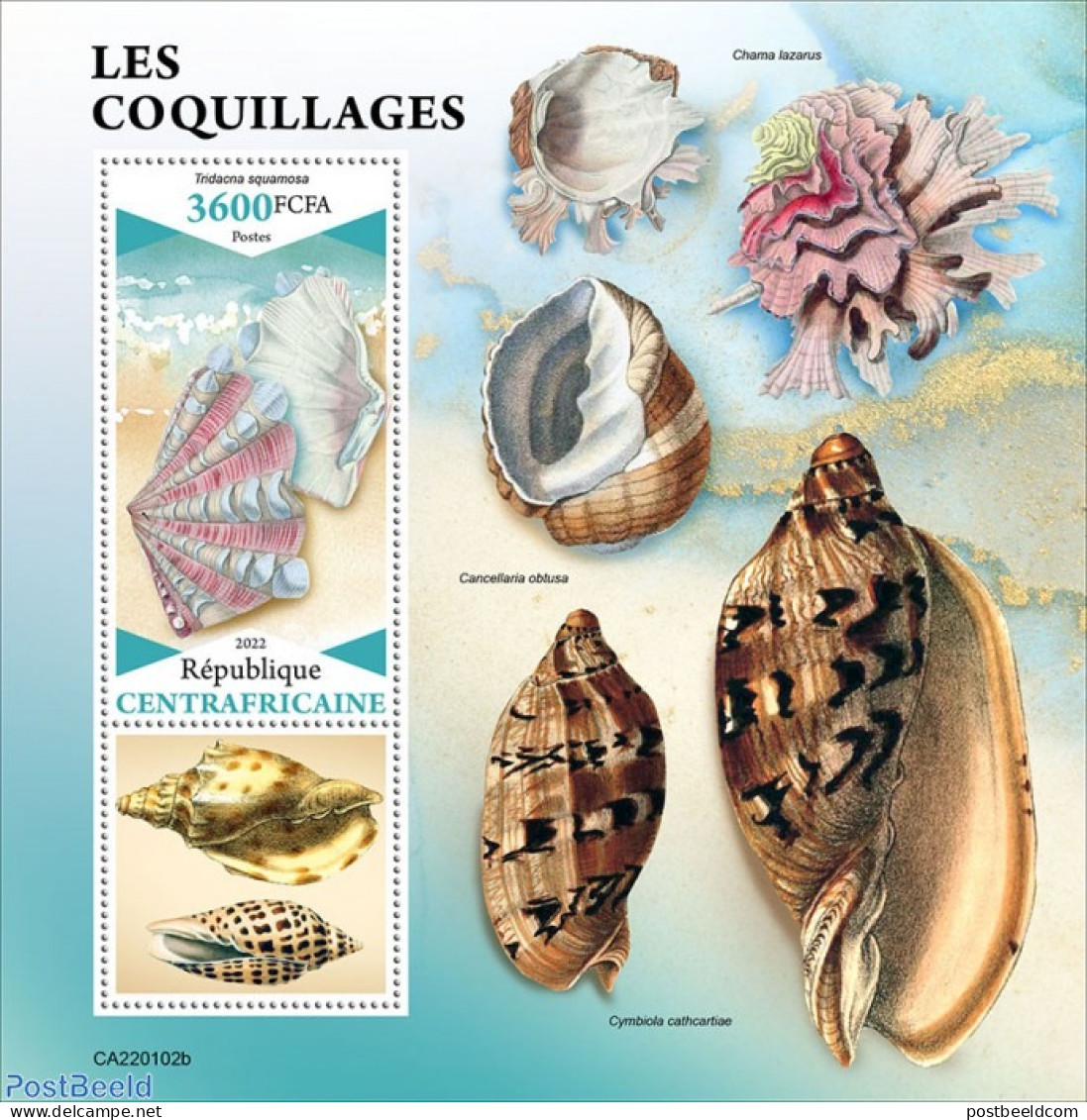 Central Africa 2022 Shells, Mint NH, Nature - Shells & Crustaceans - Marine Life