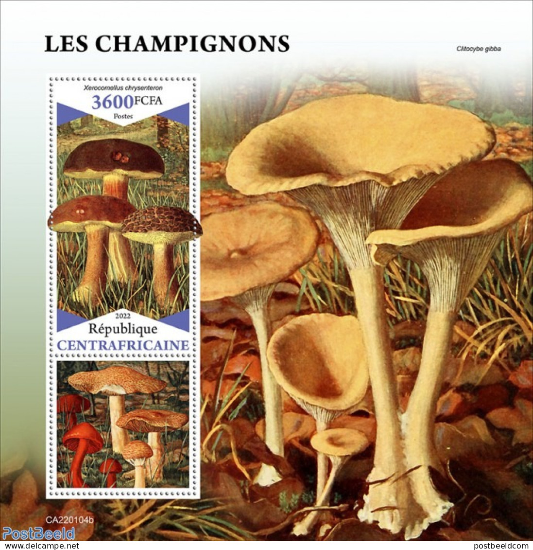 Central Africa 2022 Mushrooms, Mint NH, Nature - Mushrooms - Champignons