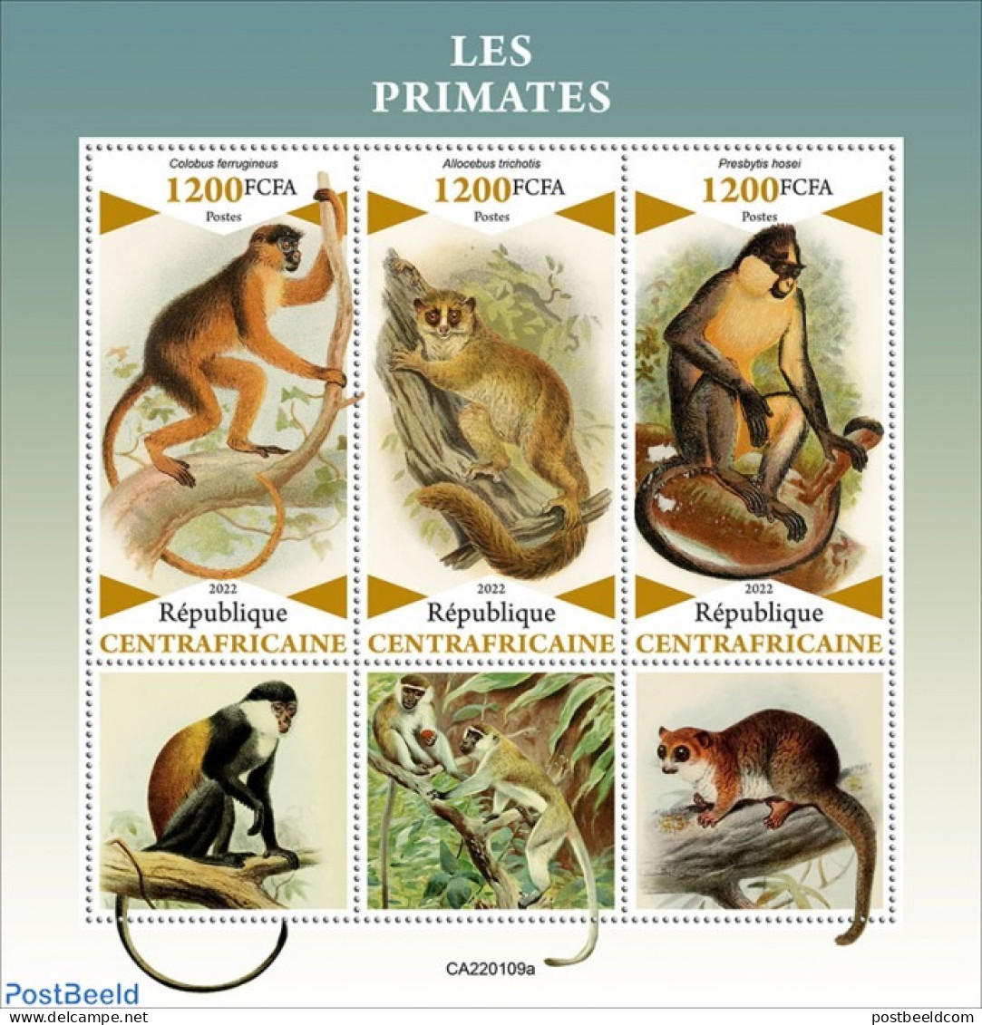 Central Africa 2022 Primates/ Monkeys, Mint NH, Nature - Monkeys - Repubblica Centroafricana