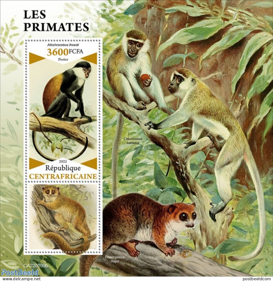 Central Africa 2022 Primates/ Monkeys, Mint NH, Nature - Monkeys - Central African Republic