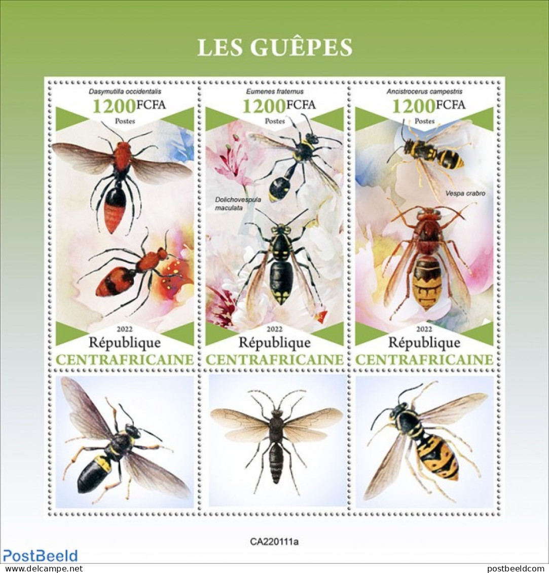 Central Africa 2022 Wasps, Mint NH, Nature - Insects - Repubblica Centroafricana