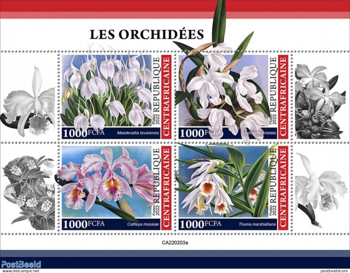 Central Africa 2022 Orchids, Mint NH, Nature - Flowers & Plants - Orchids - República Centroafricana