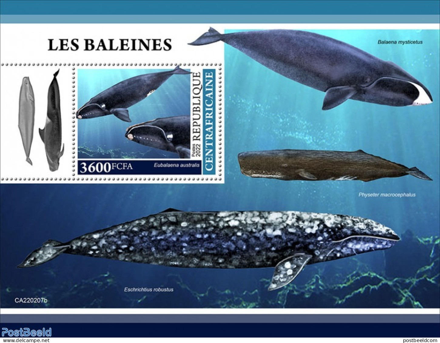Central Africa 2022 Whales, Mint NH, Nature - Sea Mammals - República Centroafricana