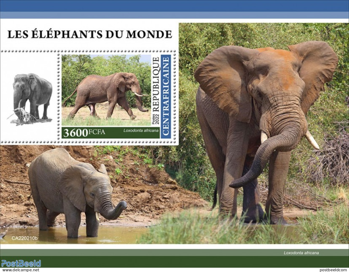 Central Africa 2022 Elephants, Mint NH, Nature - Elephants - República Centroafricana