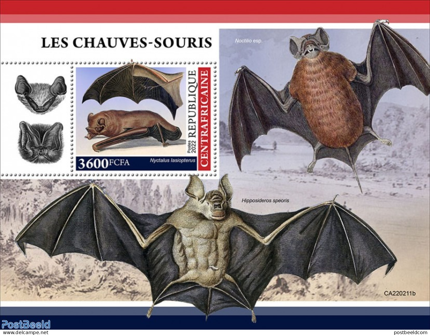 Central Africa 2022 Bats, Mint NH, Nature - Bats - República Centroafricana