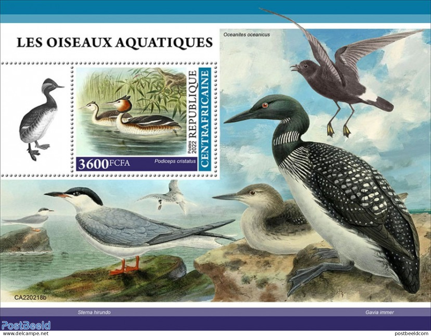 Central Africa 2022 Waterbirds, Mint NH, Nature - Birds - Central African Republic