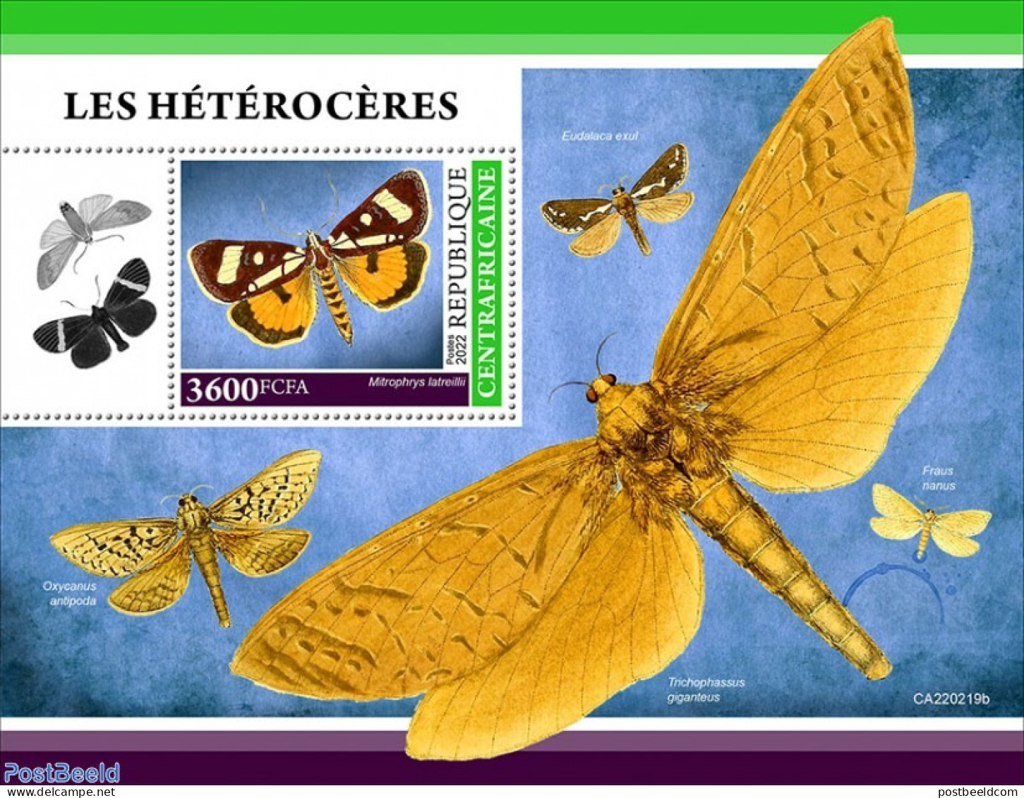 Central Africa 2022 Moths, Mint NH, Nature - Insects - Central African Republic