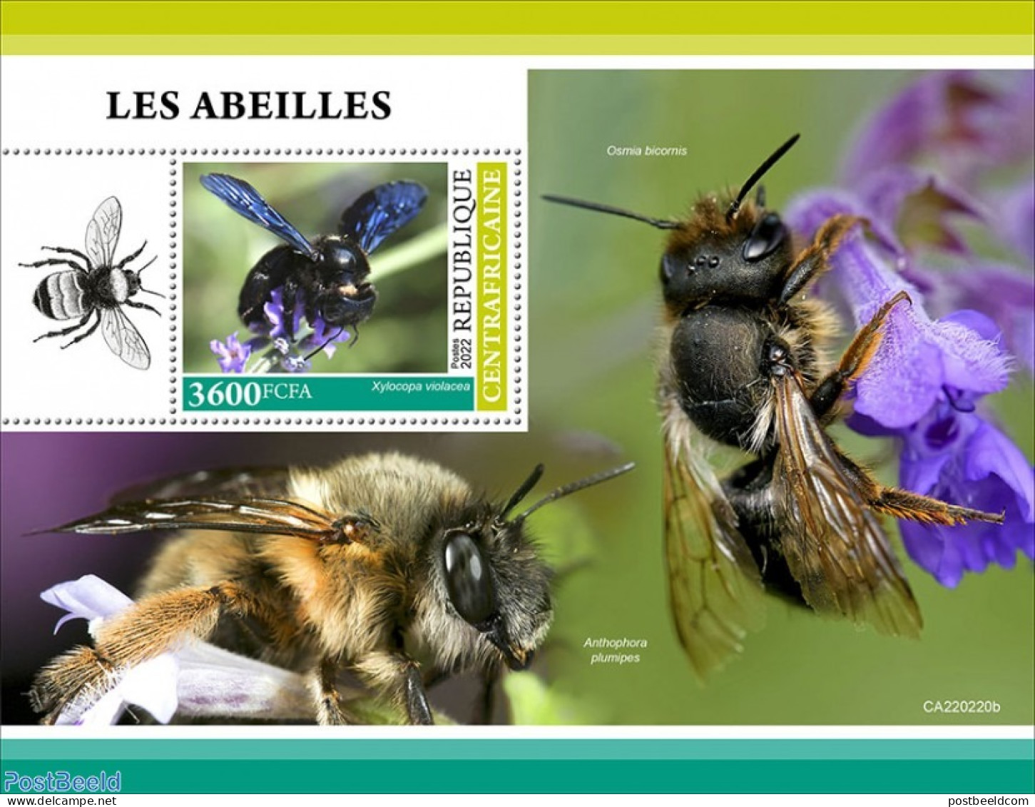 Central Africa 2022 Bees, Mint NH, Nature - Bees - Central African Republic