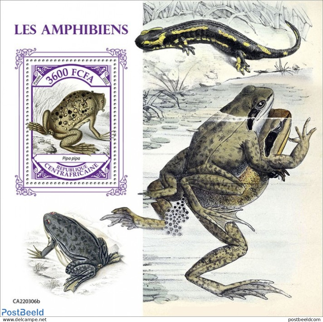 Central Africa 2022 Amphibians, Mint NH, Nature - Frogs & Toads - Centrafricaine (République)