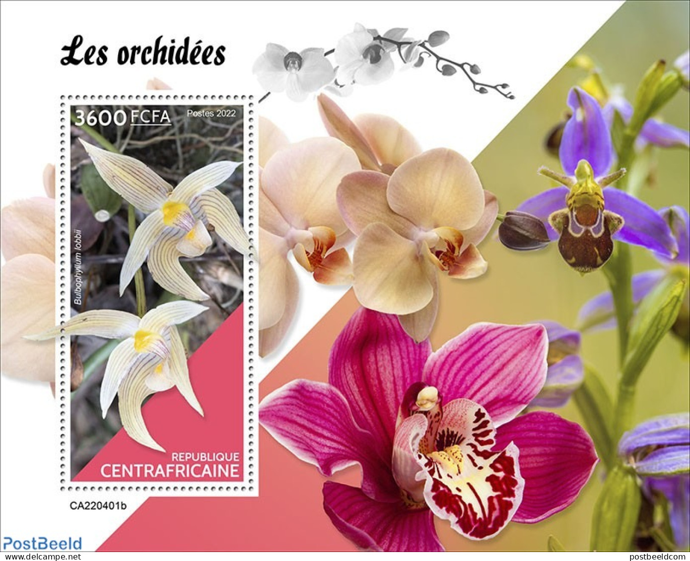 Central Africa 2022 Orchids, Mint NH, Nature - Orchids - Centraal-Afrikaanse Republiek