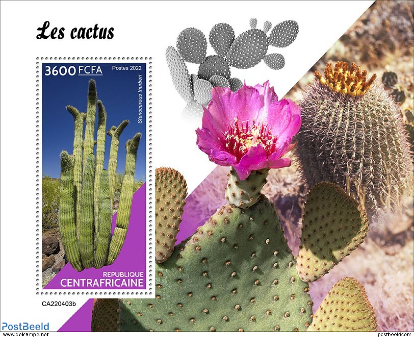 Central Africa 2022 Cactus, Mint NH, Nature - Cacti - Cactusses