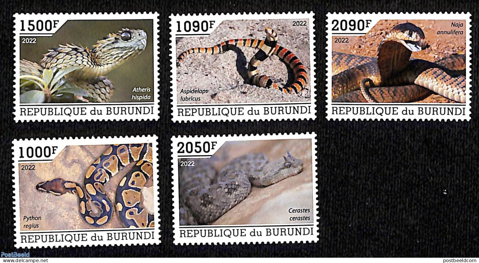 Burundi 2022 Snakes 5v, Mint NH, Nature - Snakes - Other & Unclassified