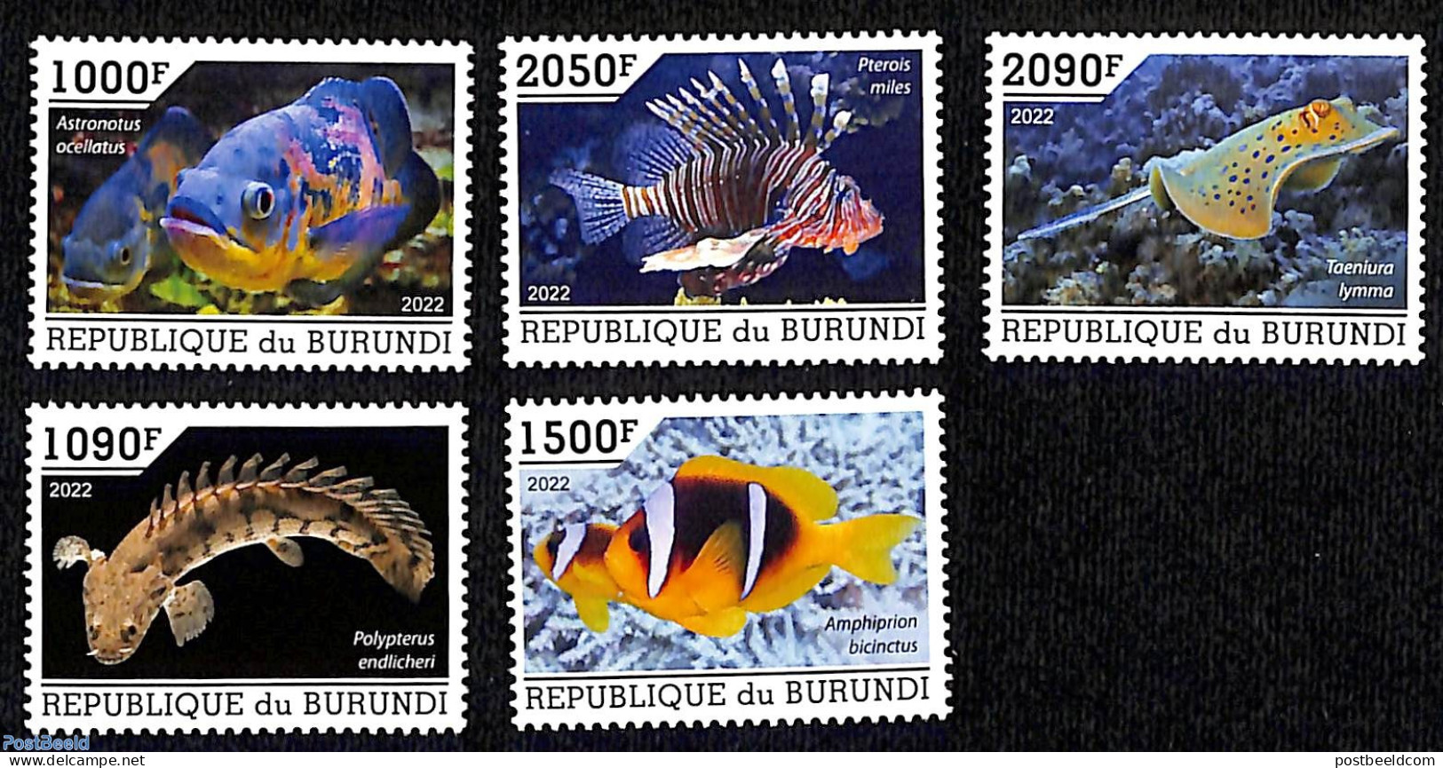 Burundi 2022 Fishes 5v, Mint NH, Nature - Fish - Vissen