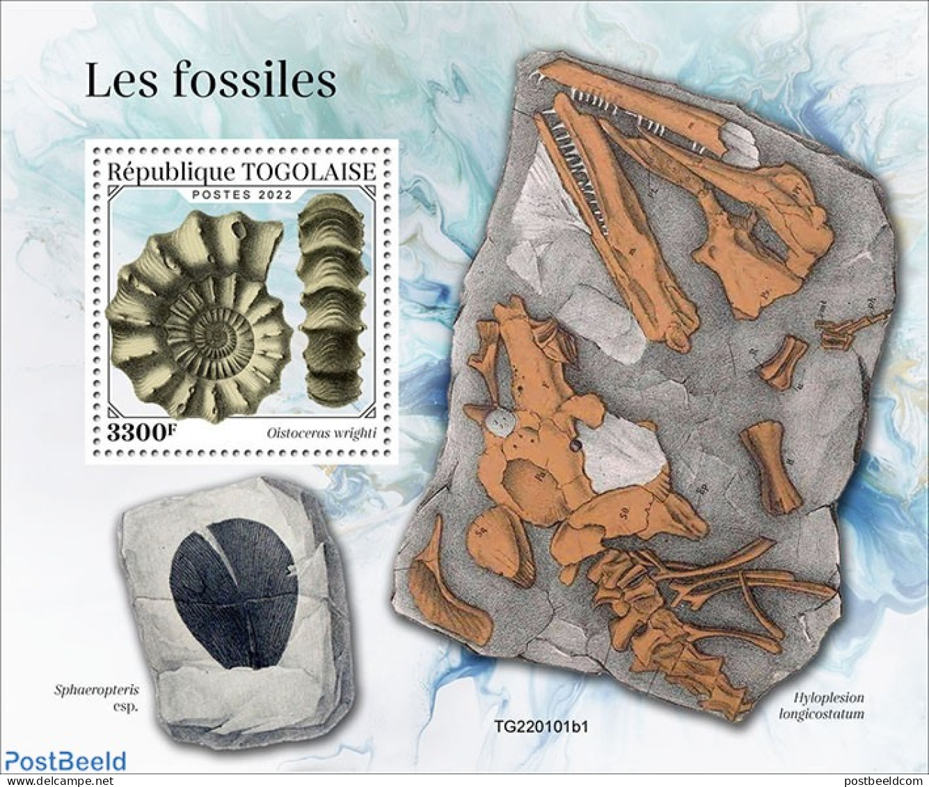 Togo 2022 Fossils, Mint NH, Nature - Prehistoric Animals - Prehistory - Vor- U. Frühgeschichte