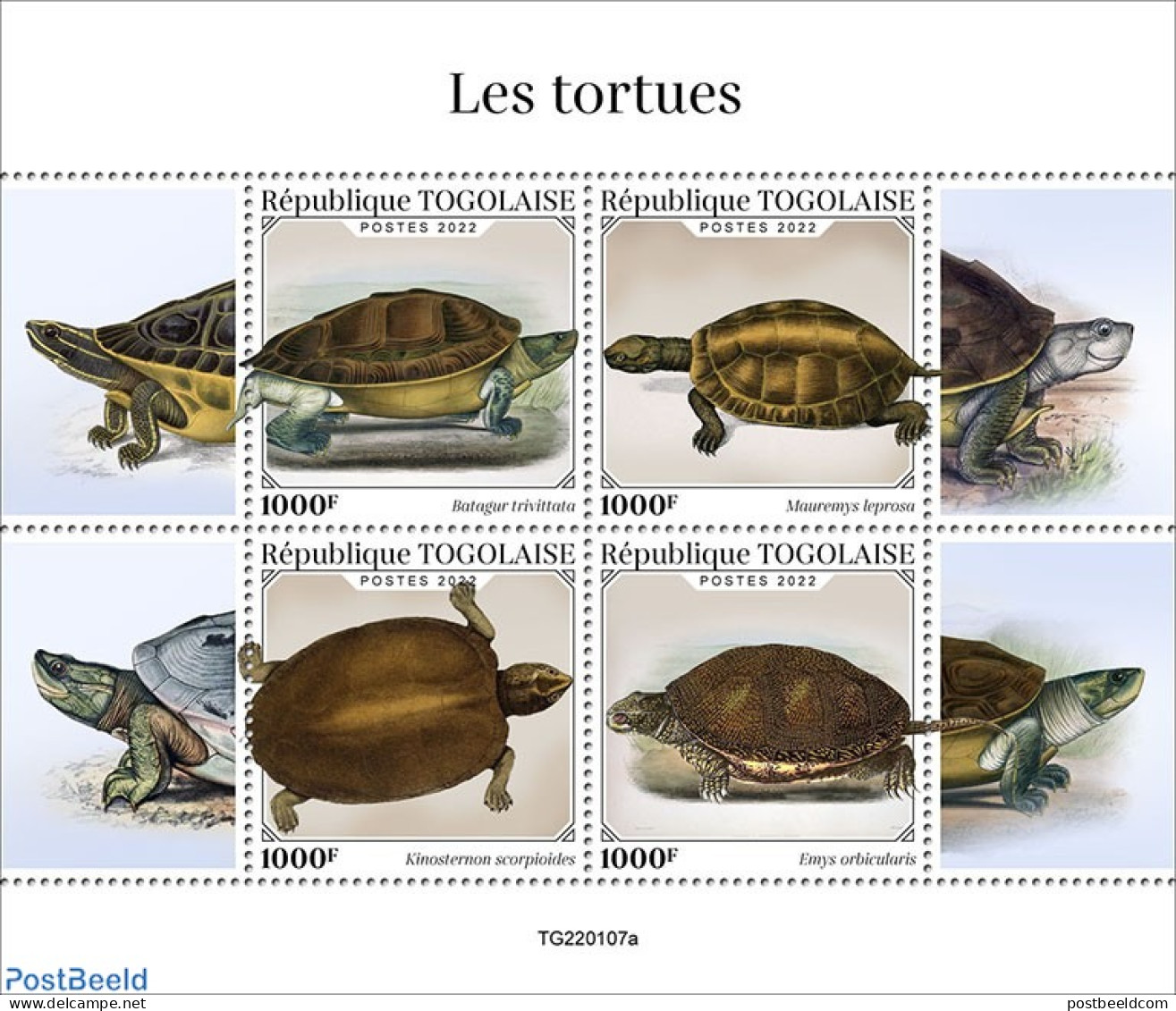 Togo 2022 Turtles, Mint NH, Nature - Turtles - Togo (1960-...)