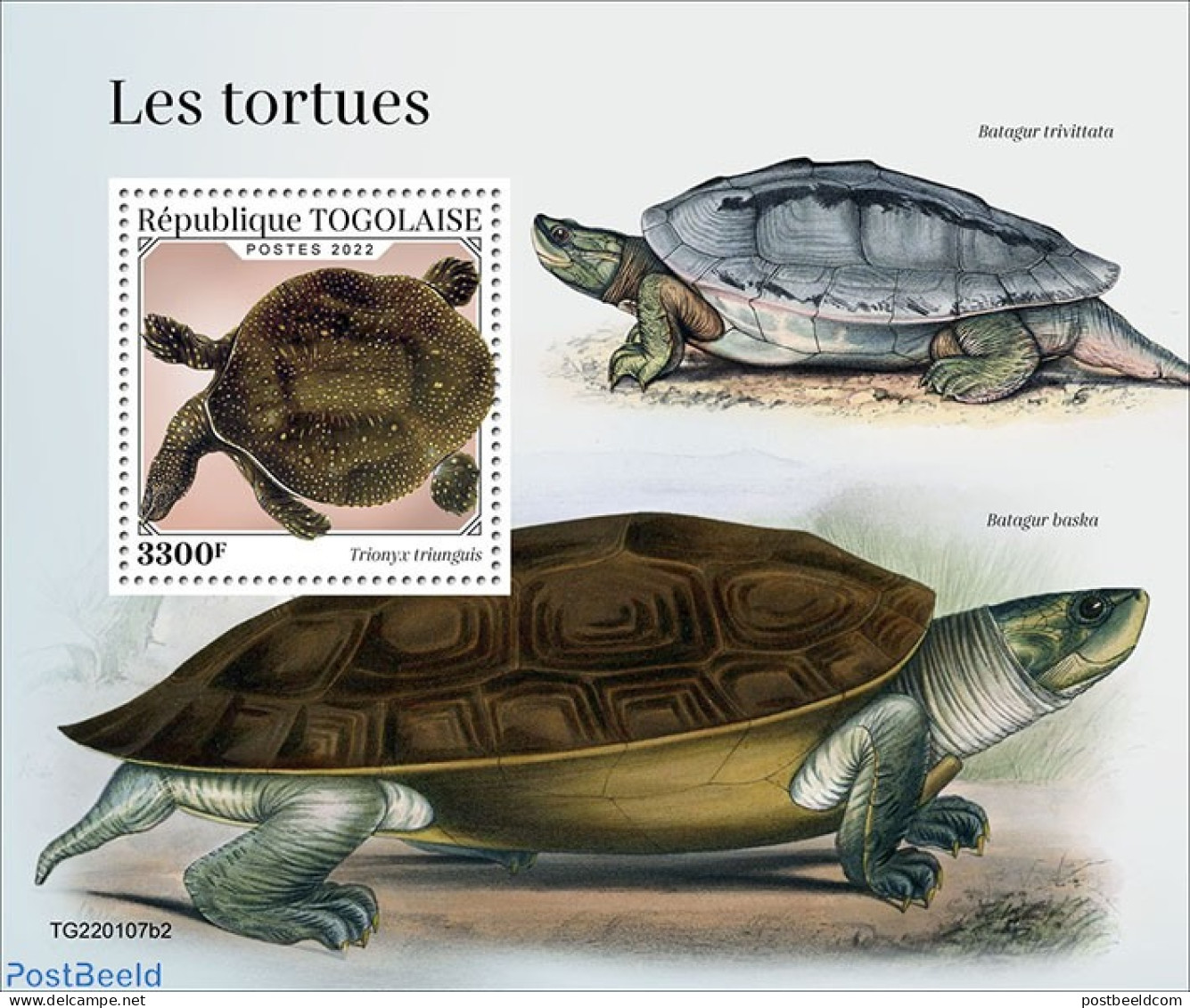 Togo 2022 Turtles, Mint NH, Nature - Turtles - Togo (1960-...)