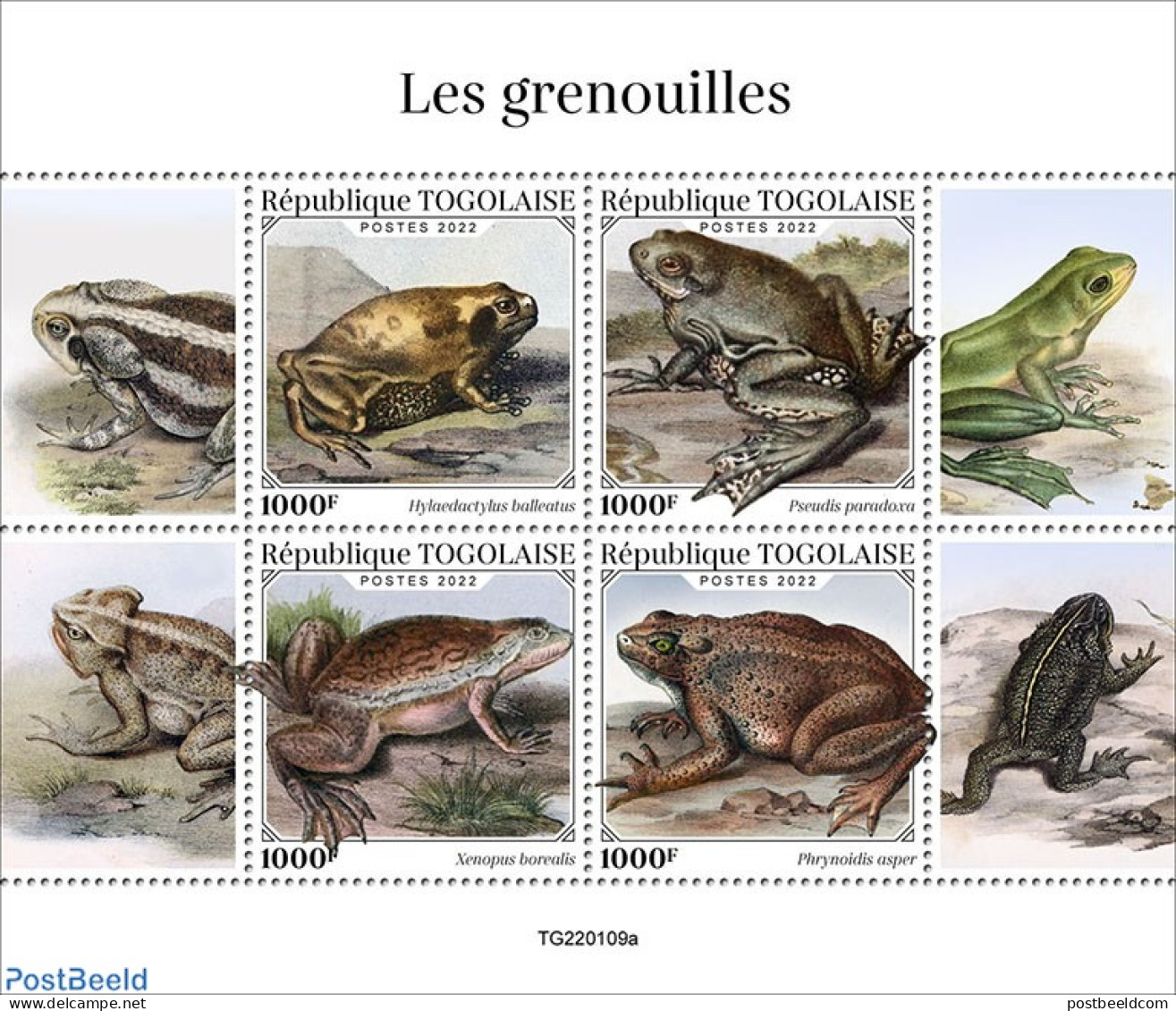 Togo 2022 Frogs, Mint NH, Nature - Frogs & Toads - Togo (1960-...)