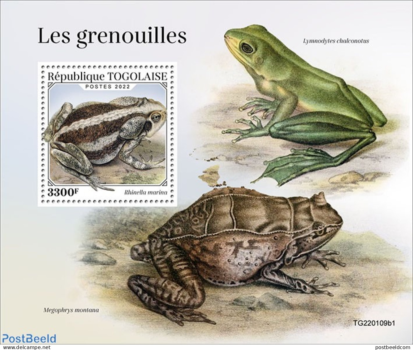 Togo 2022 Frogs, Mint NH, Nature - Frogs & Toads - Togo (1960-...)