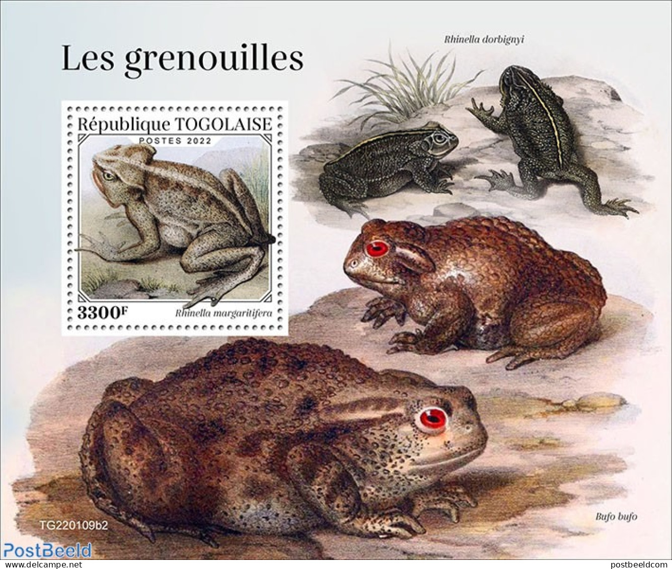 Togo 2022 Frogs, Mint NH, Nature - Frogs & Toads - Togo (1960-...)