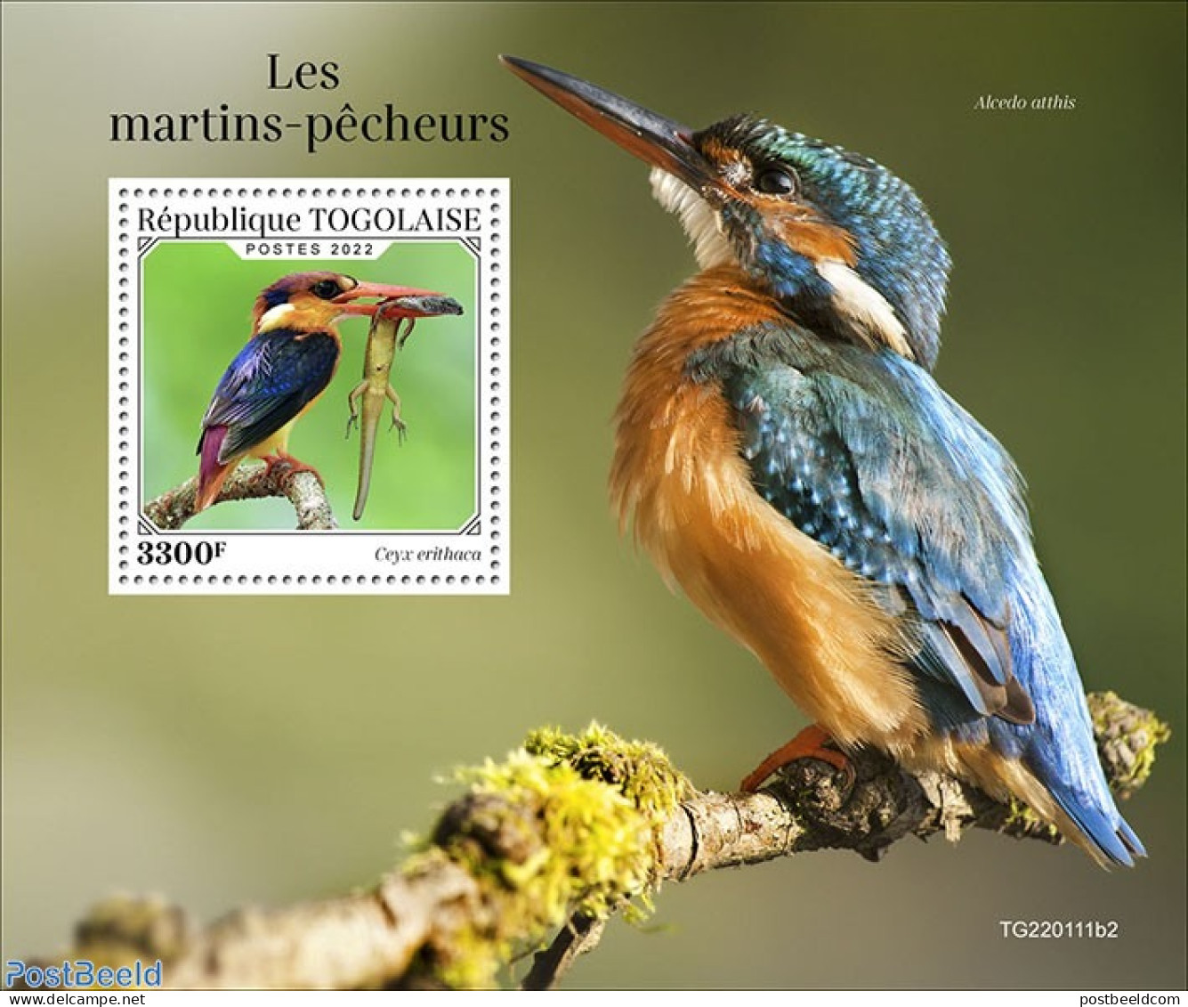 Togo 2022 Kingfishers, Mint NH, Nature - Birds - Kingfishers - Togo (1960-...)