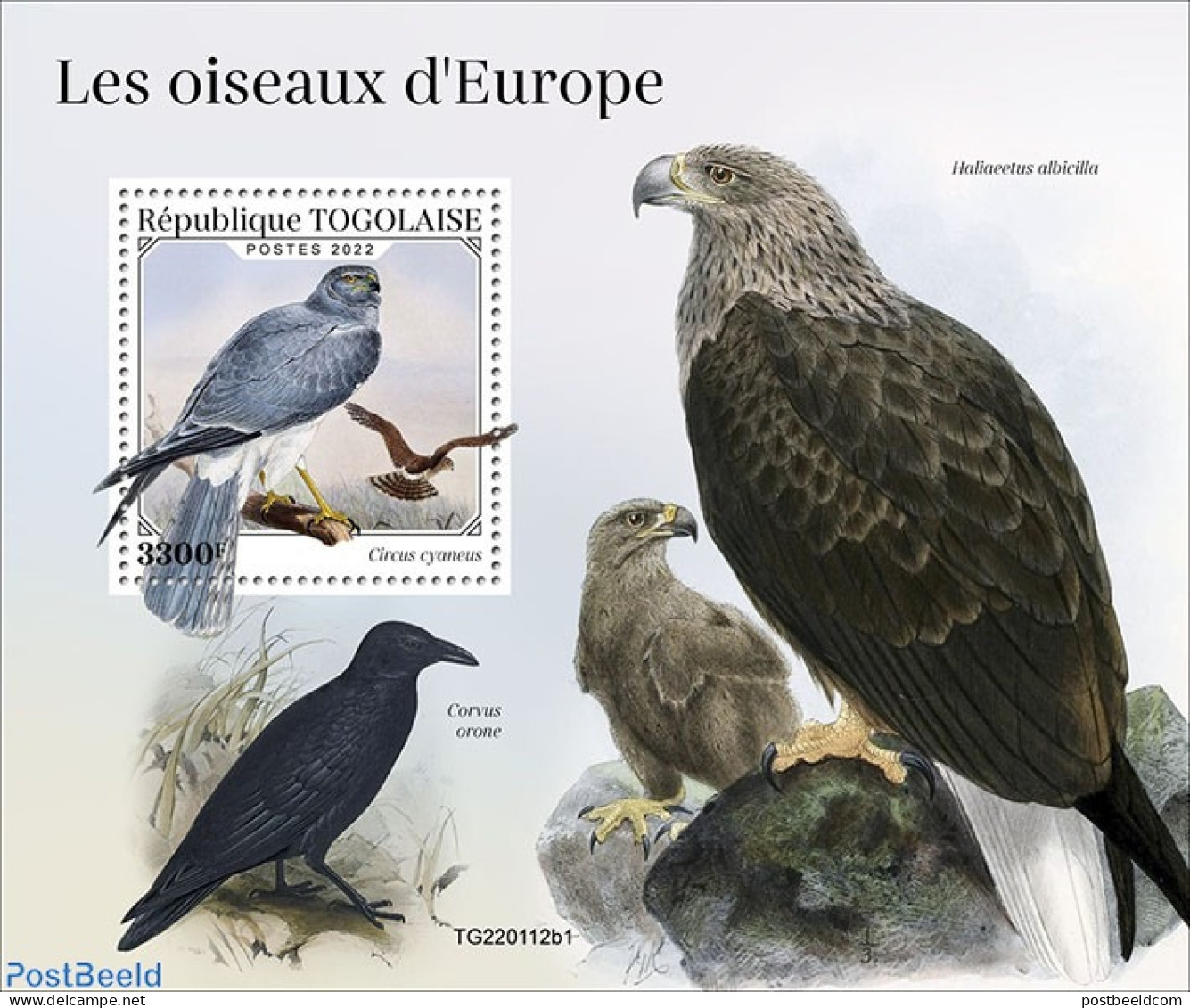 Togo 2022 Birds Of Europe, Mint NH, Nature - Birds - Birds Of Prey - Togo (1960-...)
