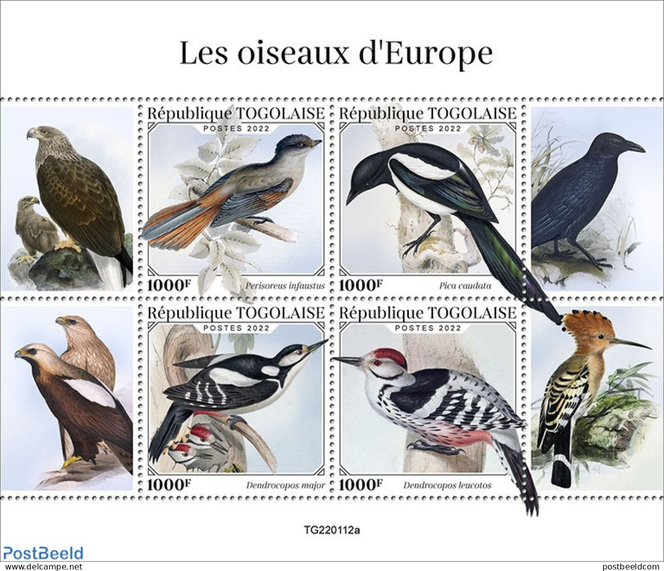 Togo 2022 Birds Of Europe, Mint NH, Nature - Birds - Togo (1960-...)