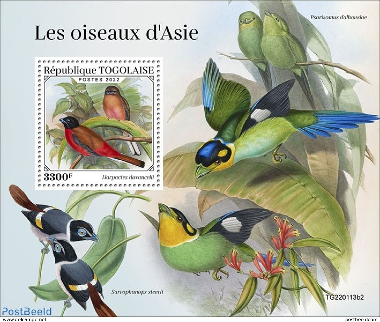 Togo 2022 Birds Of Asia, Mint NH, Nature - Birds - Togo (1960-...)
