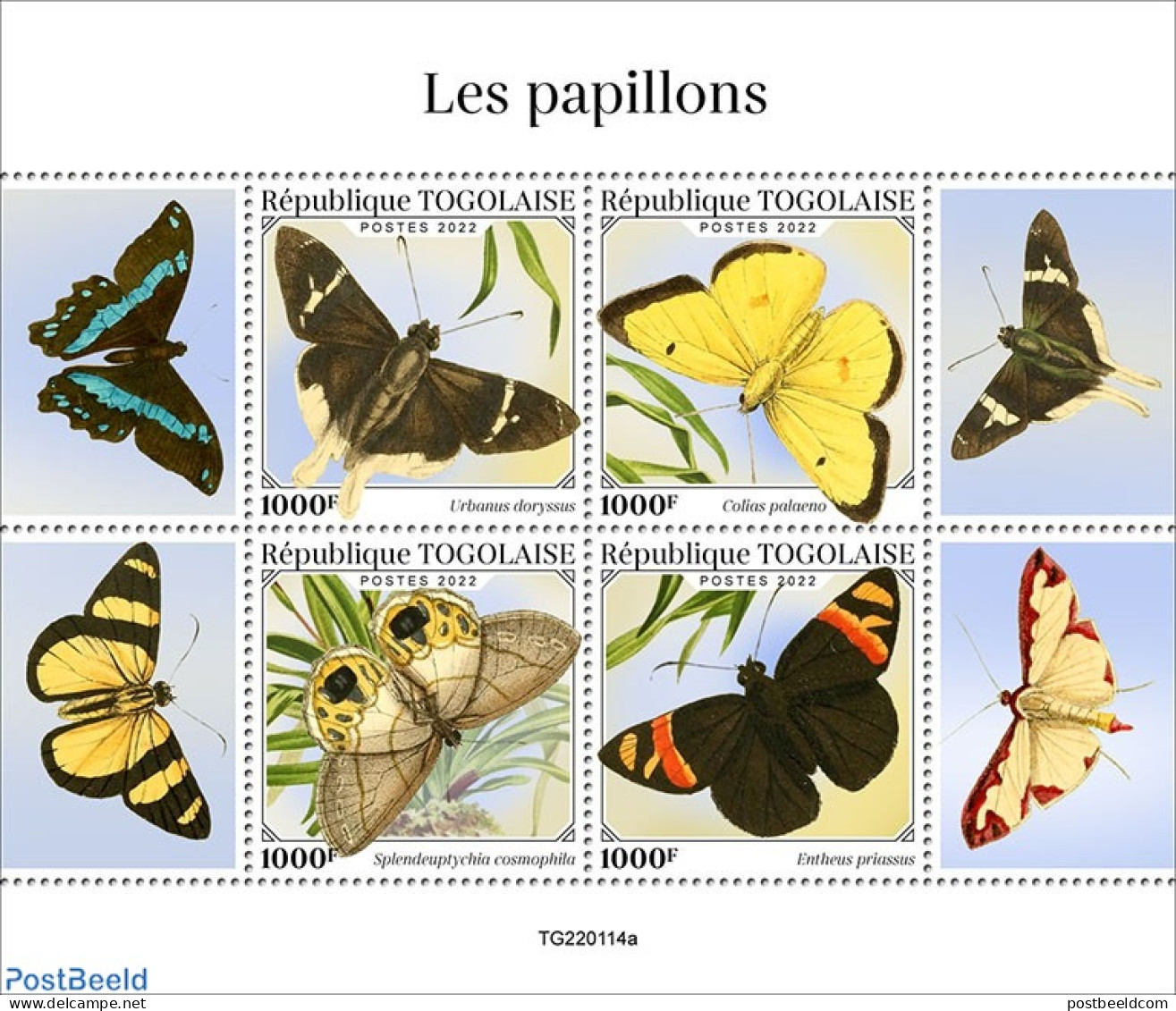 Togo 2022 Butterflies, Mint NH, Nature - Butterflies - Togo (1960-...)