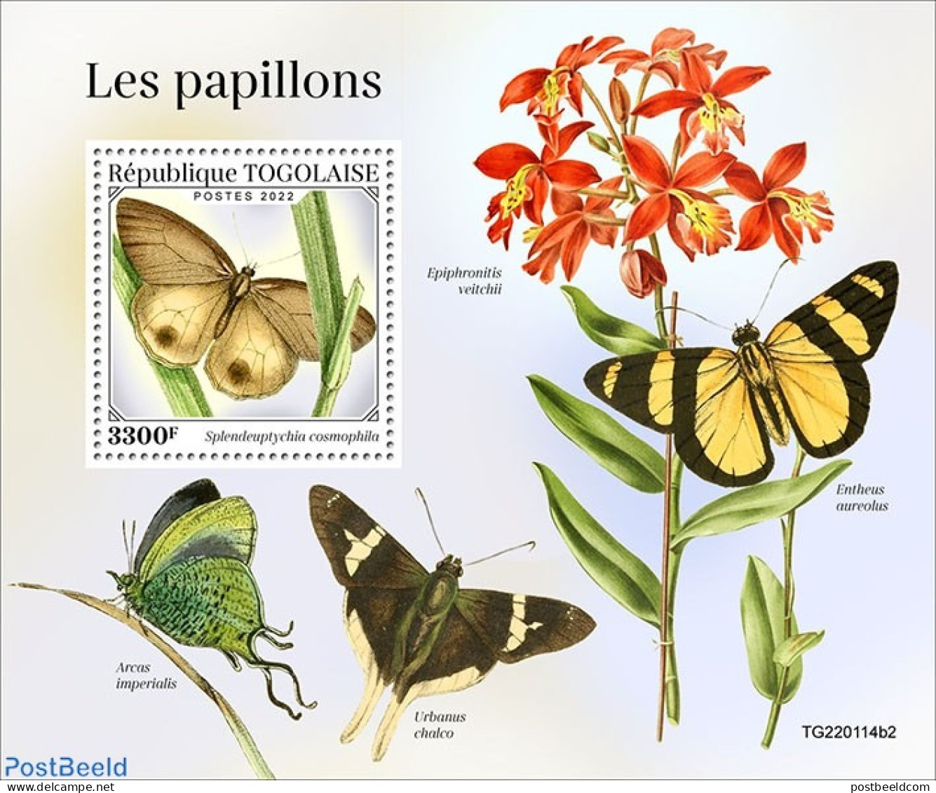 Togo 2022 Butterflies, Mint NH, Nature - Butterflies - Togo (1960-...)