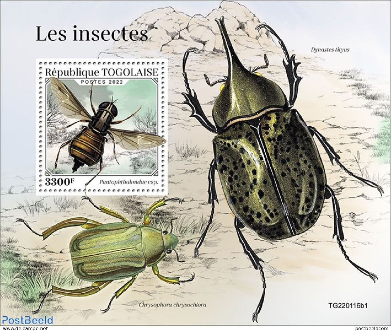 Togo 2022 Insects, Mint NH, Nature - Insects - Togo (1960-...)