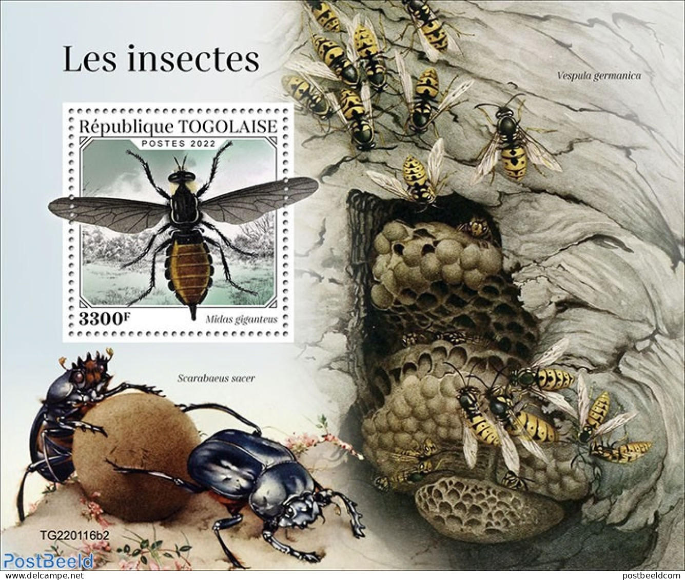 Togo 2022 Insects, Mint NH, Nature - Insects - Togo (1960-...)