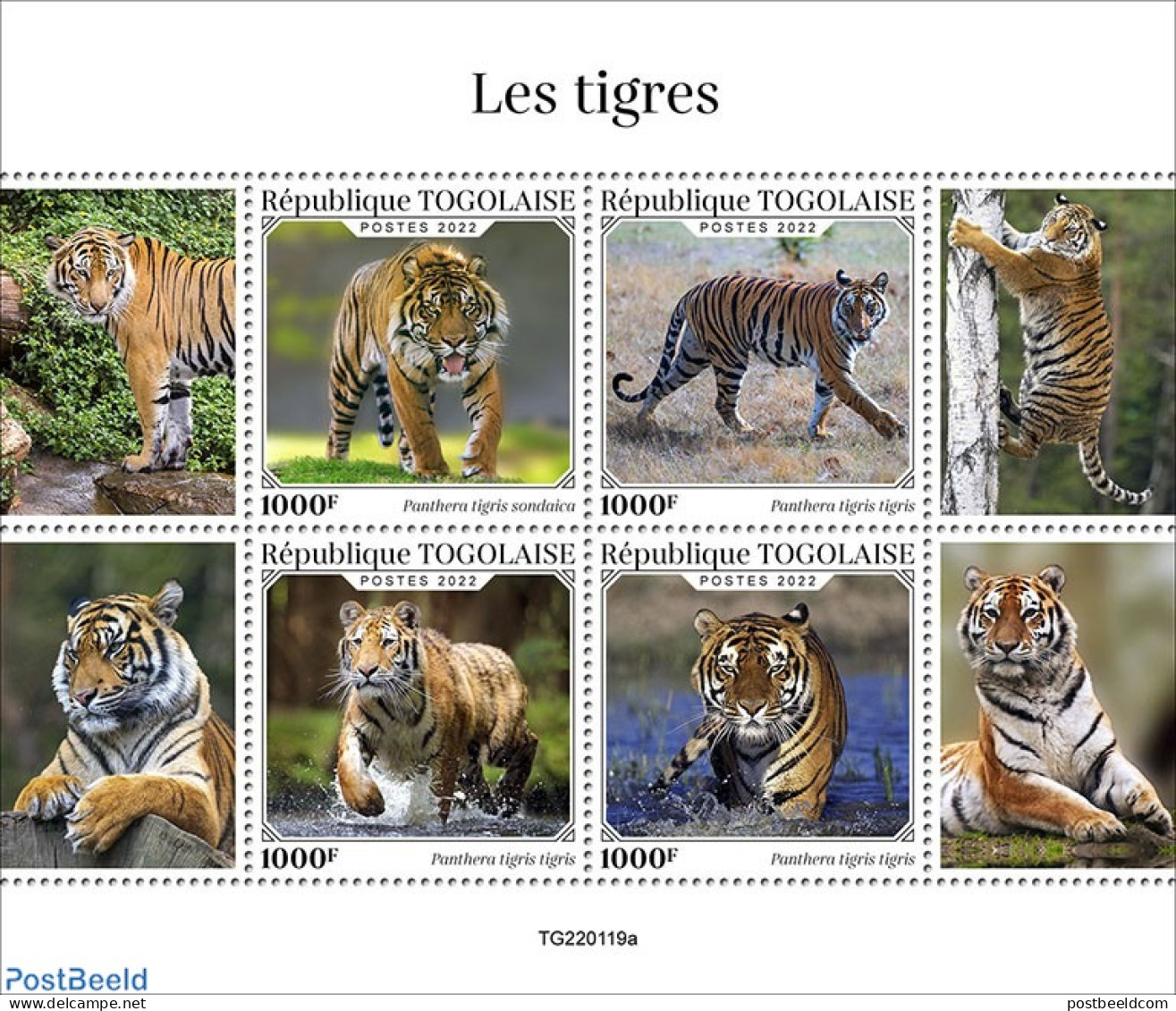 Togo 2022 Tigers, Mint NH, Nature - Cat Family - Togo (1960-...)