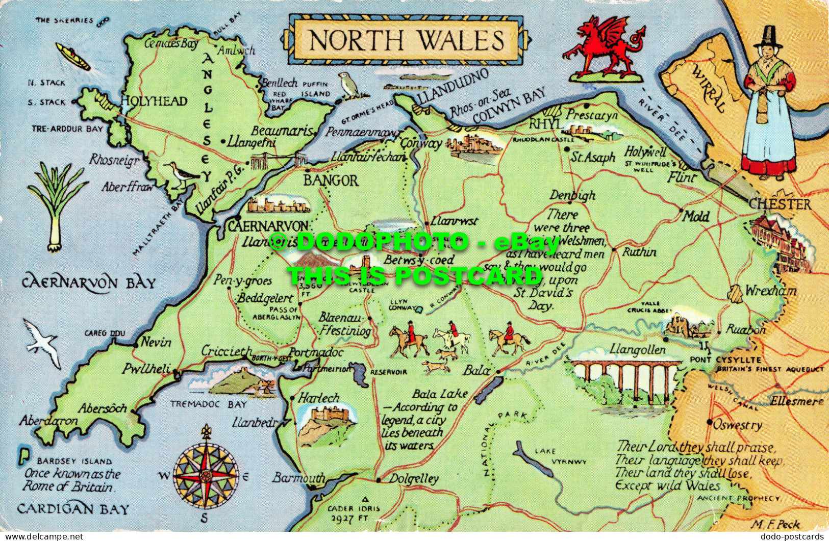 R525490 North Wales. Map. J. Salmon. M. F. Peck - World