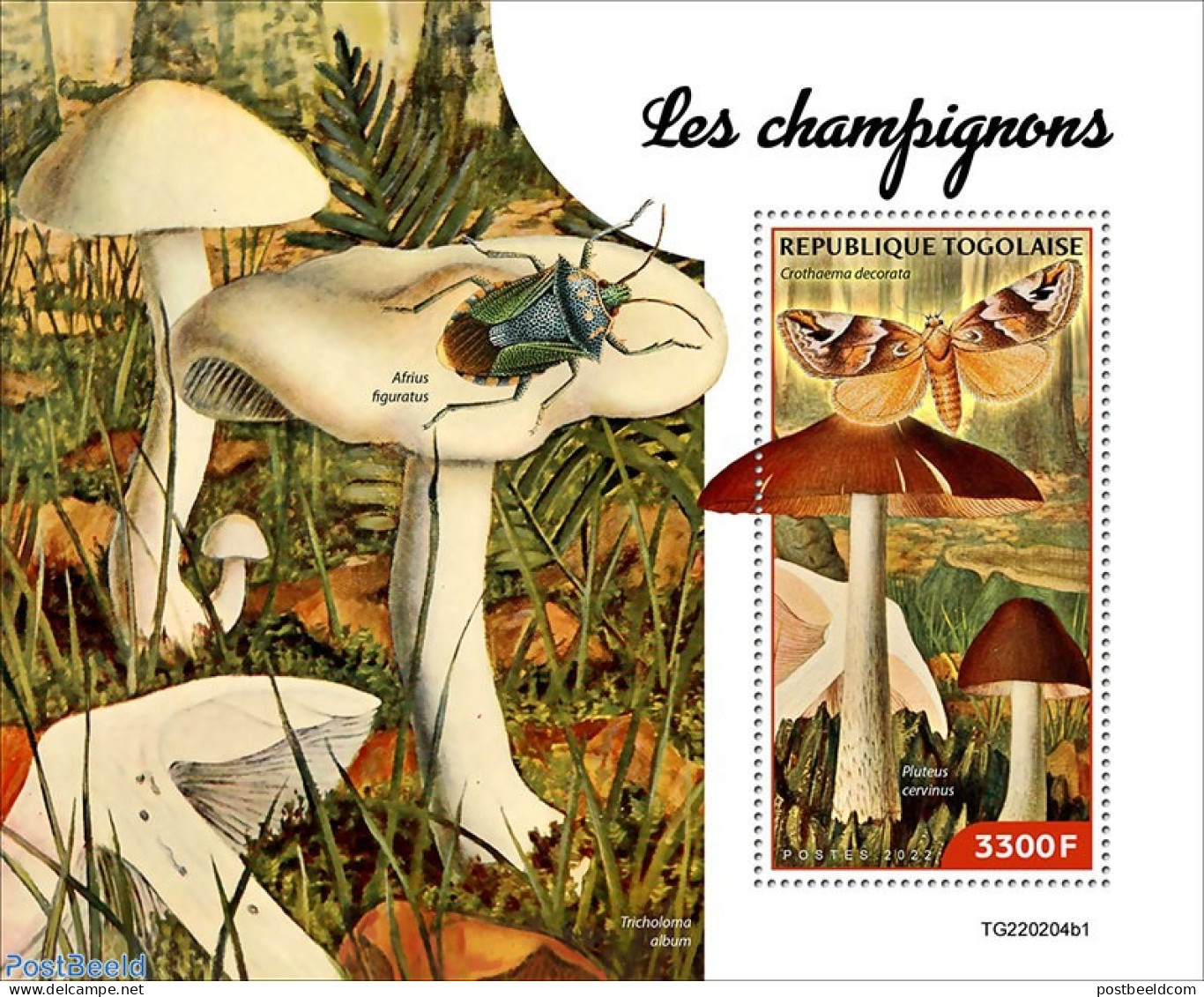 Togo 2022 Mushrooms, Mint NH, Nature - Insects - Mushrooms - Champignons