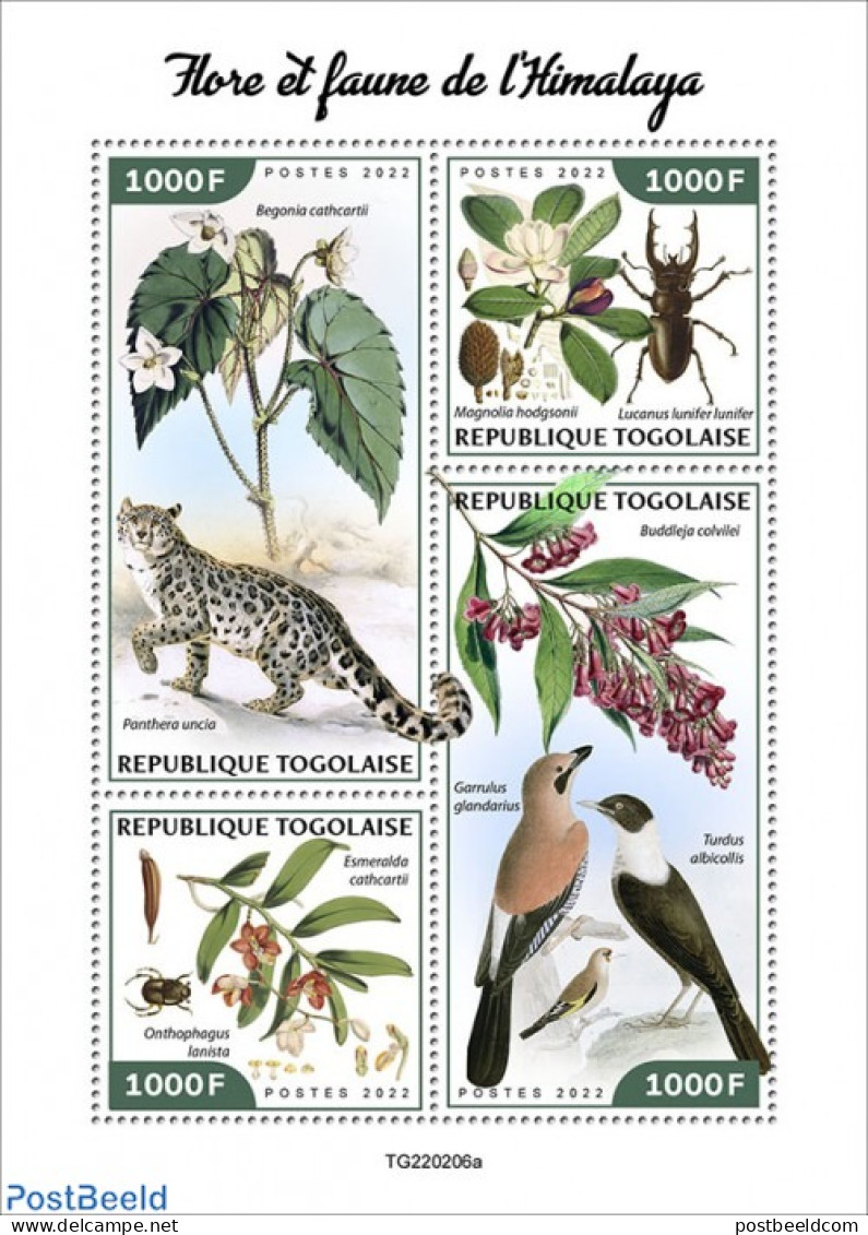 Togo 2022 Flora And Fauna Of The Himalayas, Mint NH, Nature - Birds - Cat Family - Flowers & Plants - Insects - Togo (1960-...)