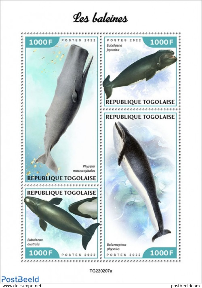 Togo 2022 Whales, Mint NH, Nature - Sea Mammals - Togo (1960-...)