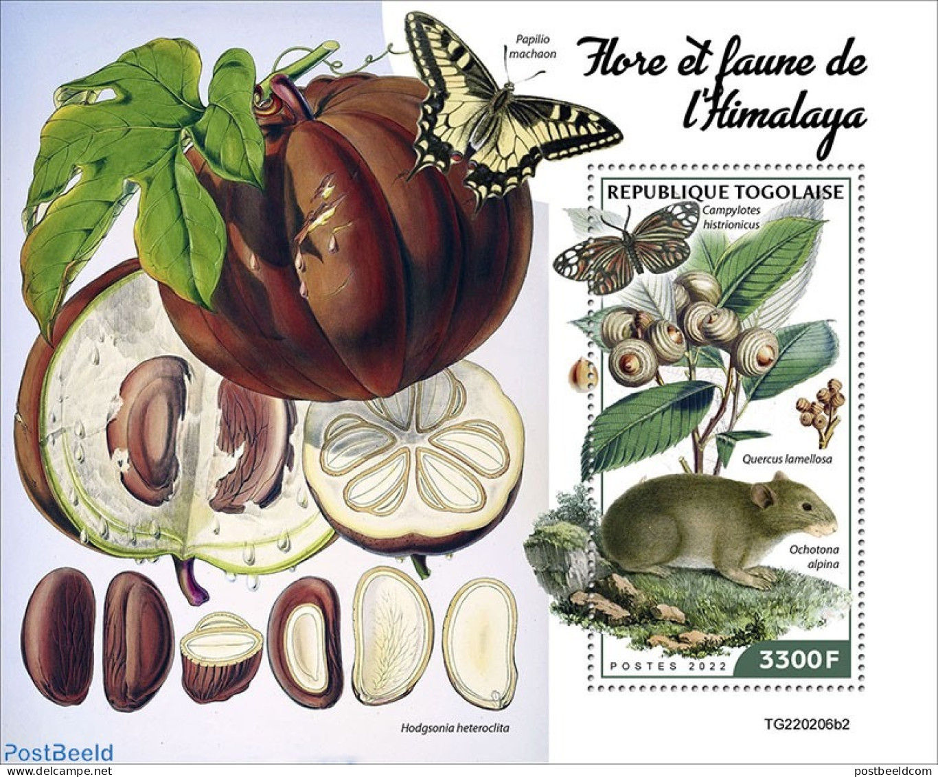 Togo 2022 Flora And Fauna Of The Himalayas, Mint NH, Nature - Animals (others & Mixed) - Butterflies - Flowers & Plants - Togo (1960-...)