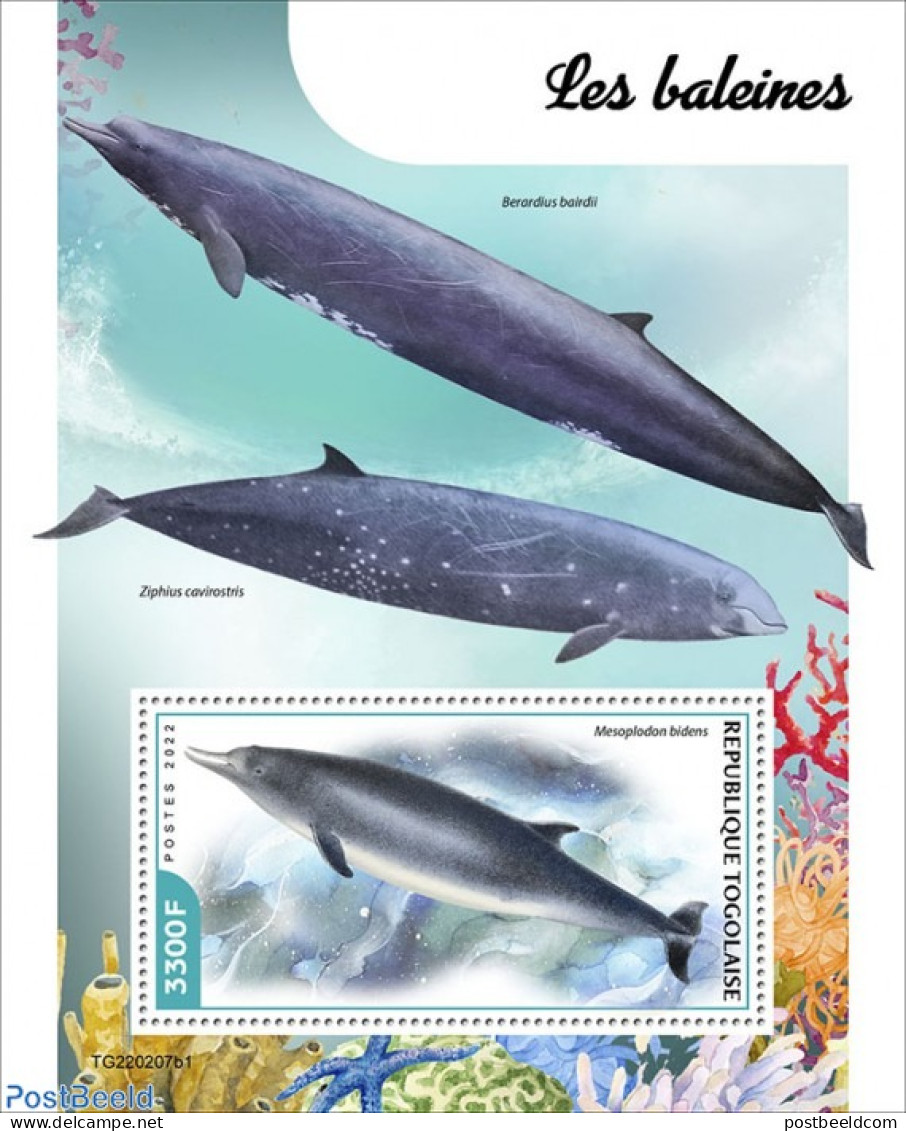 Togo 2022 Whales, Mint NH, Nature - Sea Mammals - Togo (1960-...)