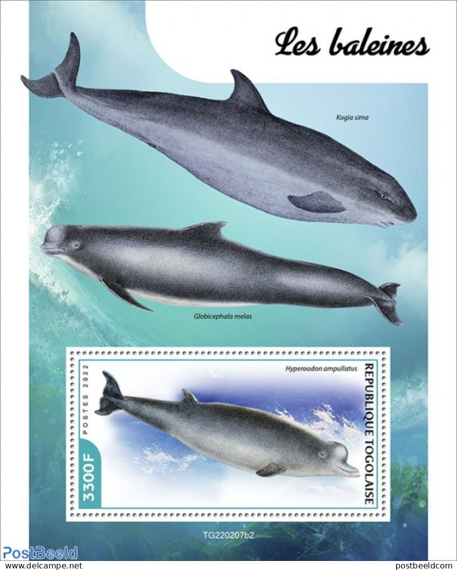 Togo 2022 Whales, Mint NH, Nature - Sea Mammals - Togo (1960-...)