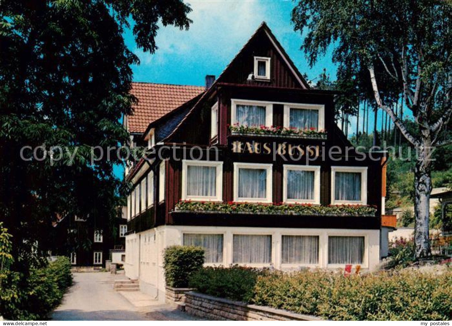 73793467 Braunlage Haus Busse Gaestehaus Pension Braunlage - Otros & Sin Clasificación