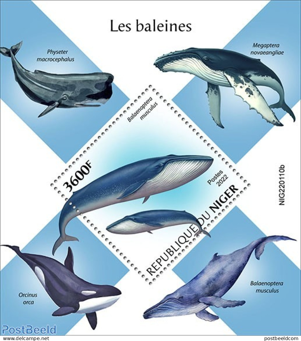 Niger 2022 Whales, Mint NH, Nature - Sea Mammals - Niger (1960-...)